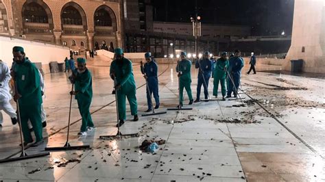 Plague of Tens of Thousands of Locusts Descends on Mecca, Islam's Sacred City | CBN News