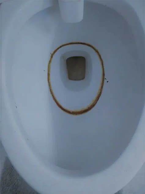 How To Clean Toilet Bowl Ring