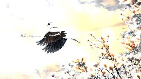 Bird Flying Sunrise Cherrie Wallpaper 1920x1080 HD by yattamigeru on DeviantArt