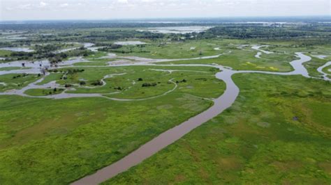 We continue to risk our lives defending Colombia's rivers and wetlands ...