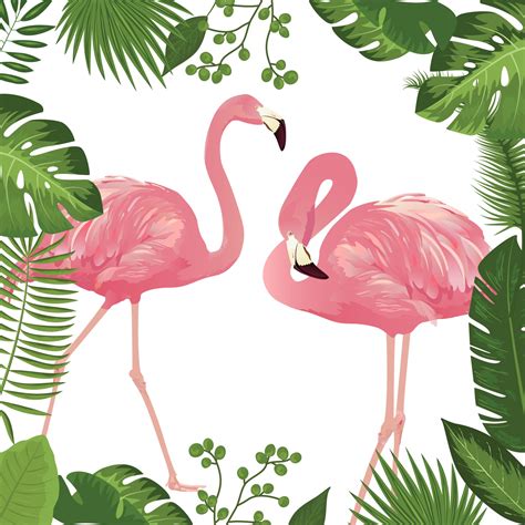 Flamingo Tropical Leaves Frame Free Stock Photo - Public Domain Pictures