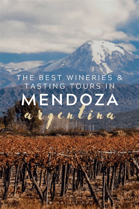 The Best Wineries in Mendoza: A Guide to Wine Tasting in Mendoza