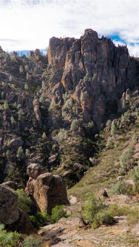 Pinnacles National Park: A Guide to Hiking and Wildlife Watching ...