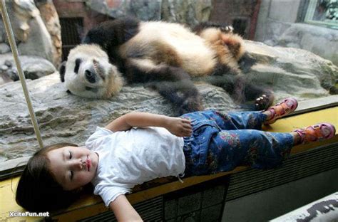 Sleeping With Panda - XciteFun.net