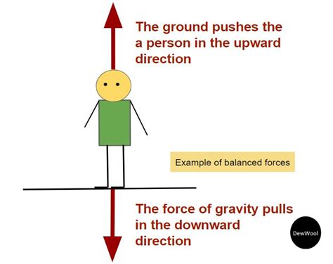 20 Examples of balanced forces - DewWool