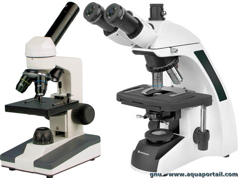 Microscope : définition et explications