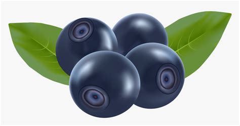 Blueberries Png Clip Art - Transparent Background Blueberry Clipart ...