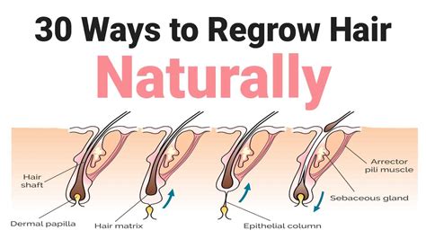 How To Regrow Hair Naturally For Men - Home Design Ideas