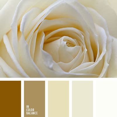 matices de color dorado claro | IN COLOR BALANCE