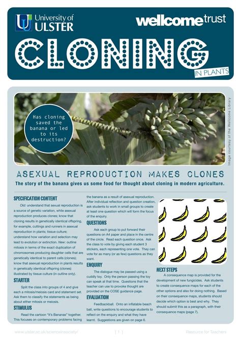 6 cloning plants