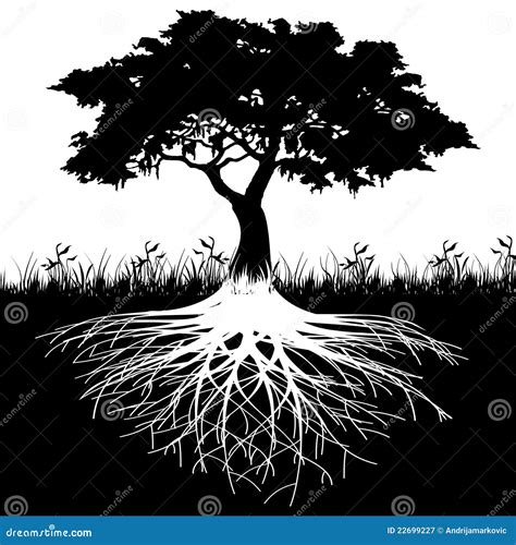 Tree roots silhouette stock vector. Illustration of root - 22699227