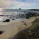 Elephant Seals of Año Nuevo State Park – Pescadero, California - Atlas Obscura