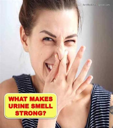 What Makes Urine Smell Strong or Foul?