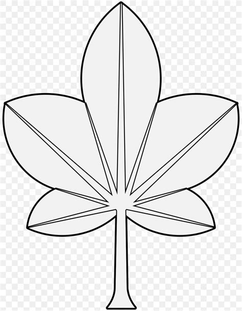 Petal Line Art Leaf Symmetry Clip Art, PNG, 1163x1493px, Petal, Area ...