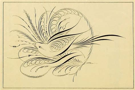 an ink drawing of a bird with feathers