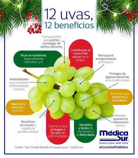 7 ideas de Beneficios de la Uva | frutas y verduras beneficios ...