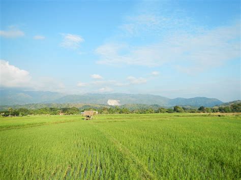 Cordillera Central (Luzon) - Wikipedia