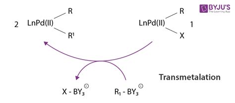 Suzuki Coupling Reaction - Definition, Details and Mechanism with Examples