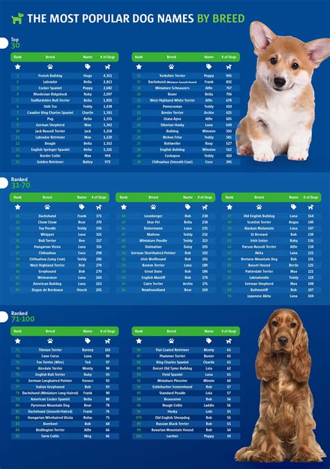 What Are The Most Popular Puppy Names