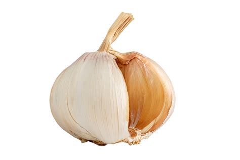 slice garlic isolated 11190596 PNG