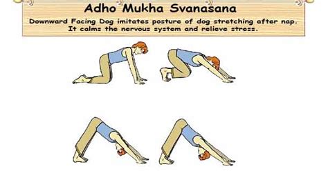 Adho Mukha Svanasana is the Downward Facing Dog Pose - How to do & Benefits