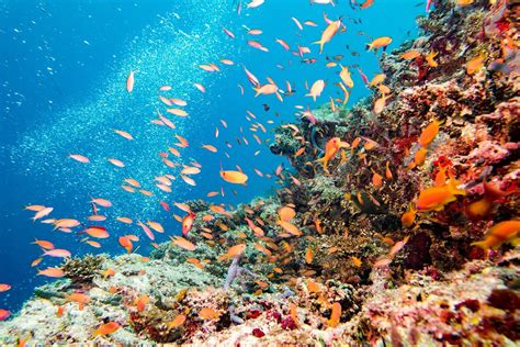 Das Great Barrier Reef Australien | Alle Inseln, Städte und Touren