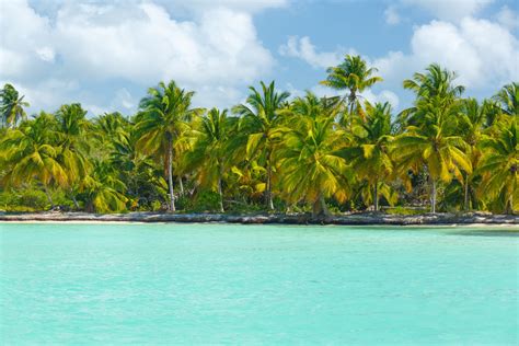 Caribbean Island Coast Free Stock Photo - Public Domain Pictures