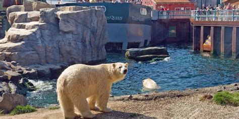 Hannover Adventure Zoo - journey around the world - Visit Hannover