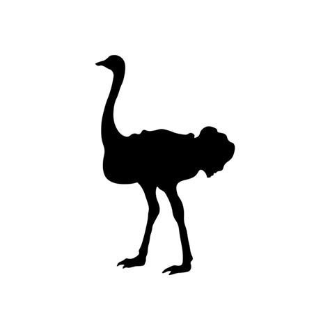 ostrich vector illustration on black 24988322 Vector Art at Vecteezy