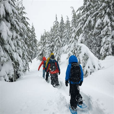 Intermediate Snowshoeing Techniques: Tips for Challenging Trails & Adverse Conditions – Nature N Tec