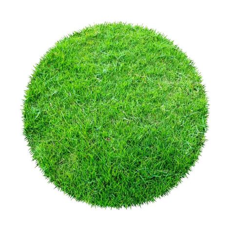 Abstract Green Grass Texture for Background. Circle Green Grass Pattern ...