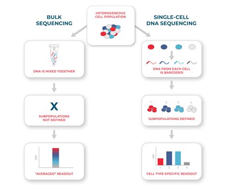 Single Cell Sequencing vs Bulk Sequencing | Mission Bio