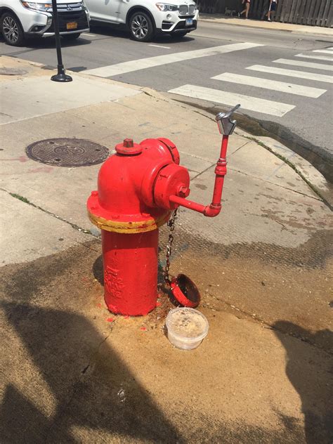 This fire hydrant has a water fountain attachment – Like For Real Dough