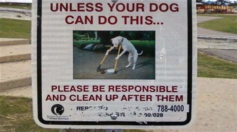 15 Funny Dog Signs That Will Make Any Dog Lover Laugh