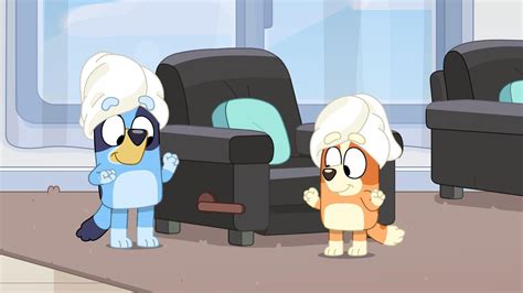 Bluey (S03E40): Relax Summary - Season 3 Episode 40 Guide