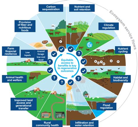 Regenerative agriculture - Vision Group for Sidmouth