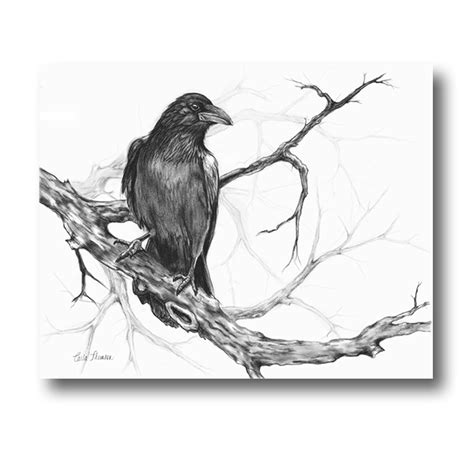 Charcoal Drawing Raven on Tree Branch, Black White Original Pencil Illustration, Bird Wall Art ...