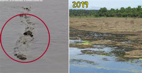 Tasik Chini is drying up. Will we finally see if Malaysia’s Loch Ness monster exists?