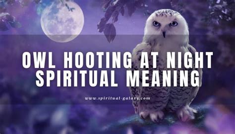 Owl Hooting at Night Spiritual Meaning: Good or Bad Sign? - Spiritual-Galaxy.com