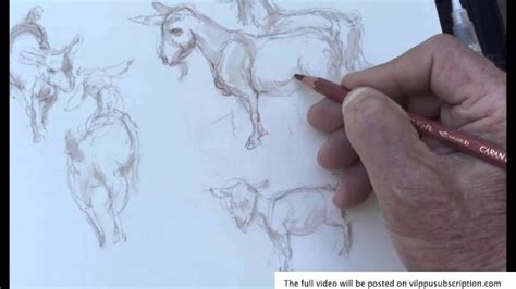 How to Paint a Realistic Little Pig in Watercolor - PaintingTube