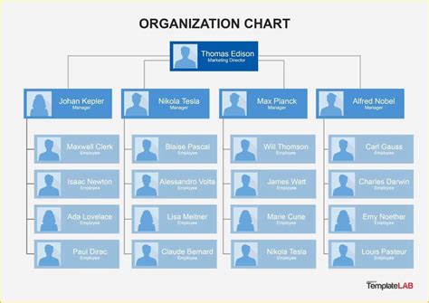 Free organizational Chart Template Of 40 organizational Chart Templates Word Excel Powerpoint ...