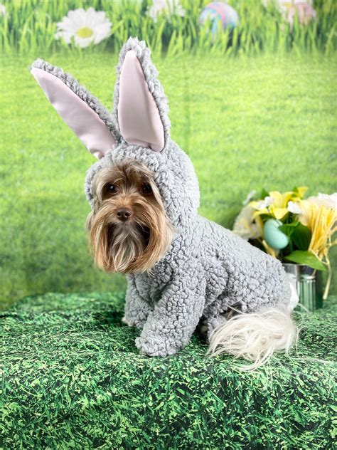 Custom gray Bunny costume for small breed dogs