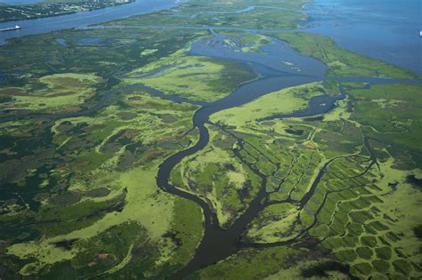 NASA Studies Mississippi River Delta