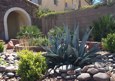 Tips for Landscaping in the Desert - Wet-Tec