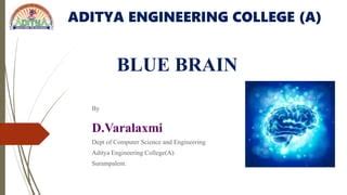 Blue brain ppt | PPT