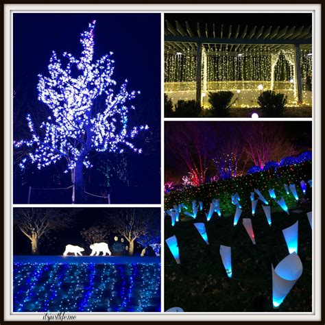 Winter Lights - The North Carolina Arboretum - It's Just Life