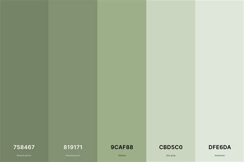 35+ Best Green Color Palettes with Names and Hex Codes | Green colour ...