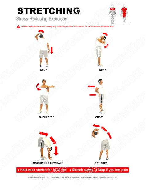 6 Stress-Reducing Stretches - PDF file plus tracking guide