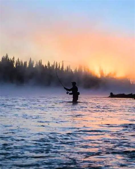 Salmon Fishing For Beginners: Tips And Easy Techniques