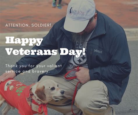 A #VeteransDay salute to all of our veterans from #NewLoveRescue! | New ...